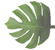 leaf - click to move backward in gallery